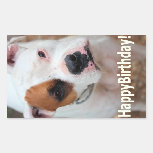 Birthday Boop Rechthoekige Sticker (Voorkant)
