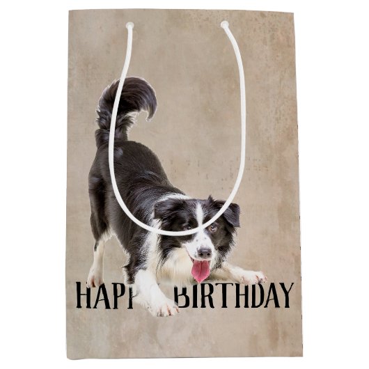 Birthday Border Collie Medium Cadeauzakje (Voorkant)