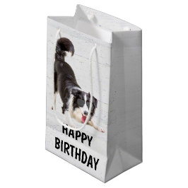 Birthday Border Collie met zonnebril Klein Cadeauzakje