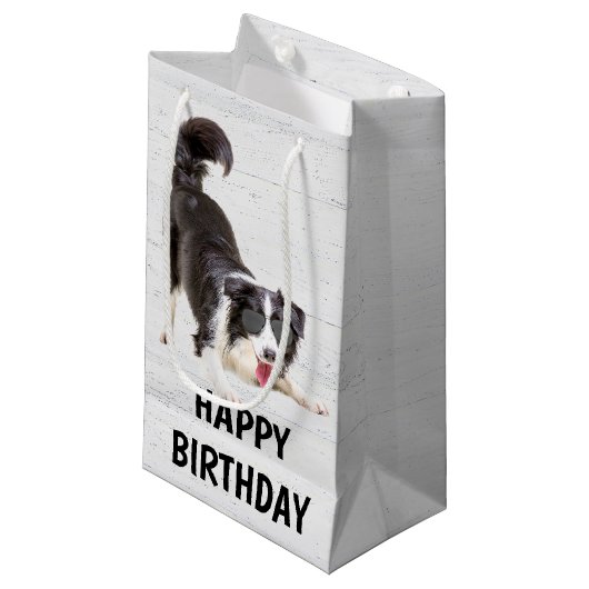 Birthday Border Collie met zonnebril Klein Cadeauzakje (Voorkant Gekanteld)