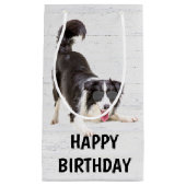 Birthday Border Collie met zonnebril Klein Cadeauzakje (Voorkant)