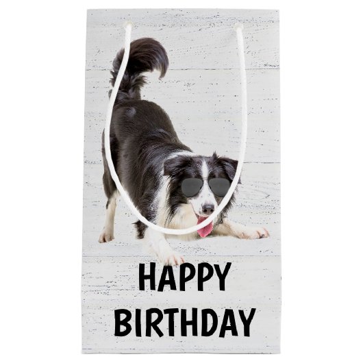 Birthday Border Collie met zonnebril Klein Cadeauzakje (Voorkant)