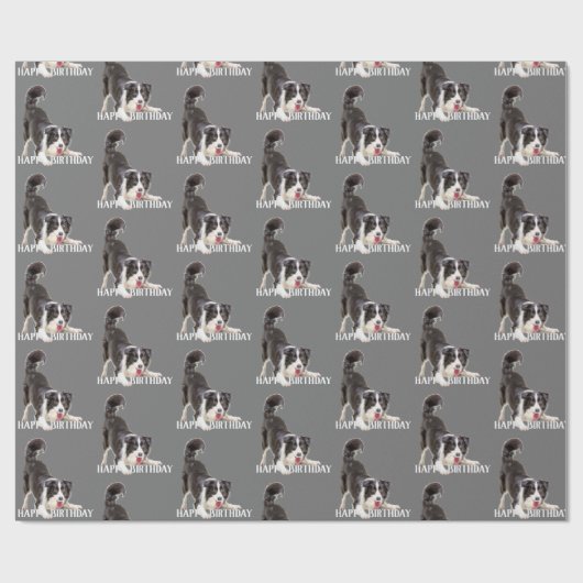 Birthday Border Collie op Grey Cadeaupapier (Vlak)