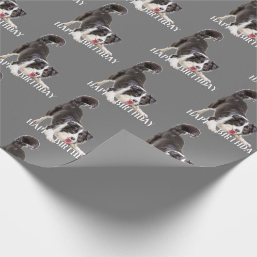 Birthday Border Collie op Grey Cadeaupapier (Hoek)