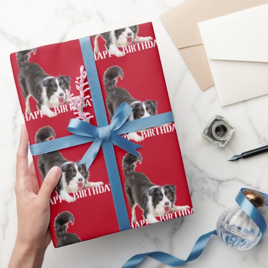 Birthday Border Collie op Red Cadeaupapier (Geschenken)