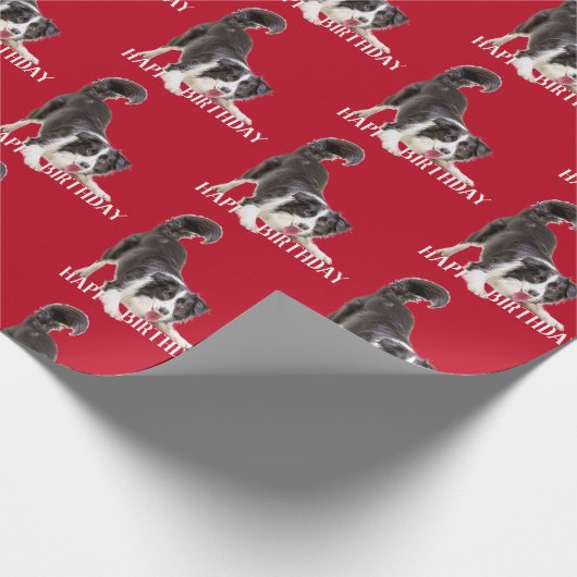 Birthday Border Collie op Red Cadeaupapier (Hoek)