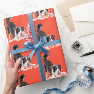 Birthday Border Collie op Sinaasappel Cadeaupapier