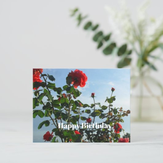 Birthday Briefkaart (Staand voorkant)