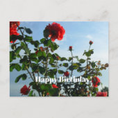 Birthday Briefkaart (Voorkant)