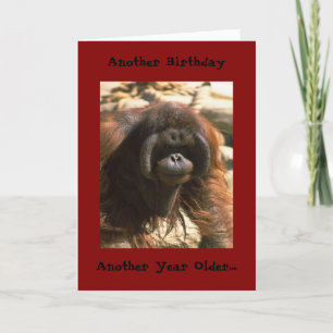 Birthday Brother Card Kaart