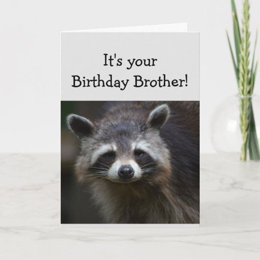 Birthday BROTHER Fun Age Humor Sad Raccoon Humor Kaart (Voorkant)