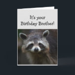 Birthday BROTHER Fun Age Humor Sad Raccoon Humor Kaart<br><div class="desc">Verjaardag Blaasjes voor je BROER Leuke Leeftijd Je bent vuilnis voor mij Humoristische depressieve Wasbeer Dierlijke kunst</div>