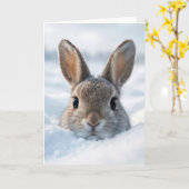 Birthday Bunny In a Deep Snowdrift Kaart (Gele Bloem)