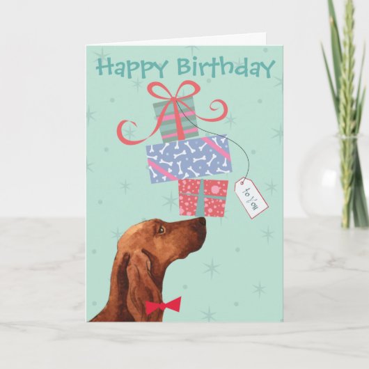 Birthday Cadeaus Irish Setter Kaart (Voorkant)