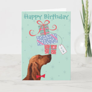 Birthday Cadeaus Irish Setter Kaart