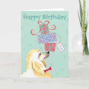 Birthday Cadeaus Poodle Kaart