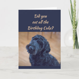 Birthday Cake Humor Cute Black Curly Dog Pet Kaart