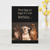 Birthday Cake Humor Hoop dat je Boxer Dogs Funny p Kaart (Gele Bloem)