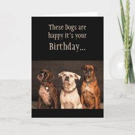 Birthday Cake Humor Hoop dat je Boxer Dogs Funny p Kaart