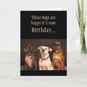 Birthday Cake Humor Hoop dat je Boxer Dogs Funny p Kaart
