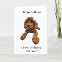 Birthday cake - met Rebel Rupert