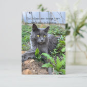 birthday card (Staand voorkant)