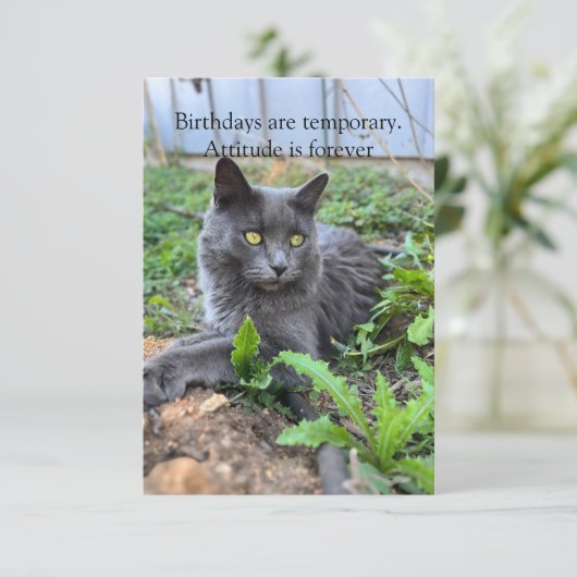 birthday card (Staand voorkant)