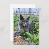 birthday card (Voorkant / Achterkant)