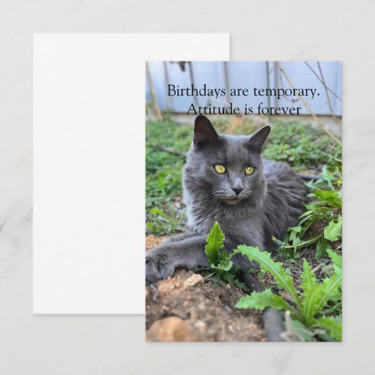 birthday card (Voorkant / Achterkant)