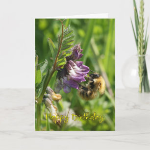 Birthday card - Bee op een wilde etch Kaart