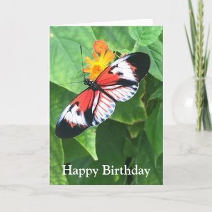 Birthday Card Butterfly with Kafka Quote Kaart