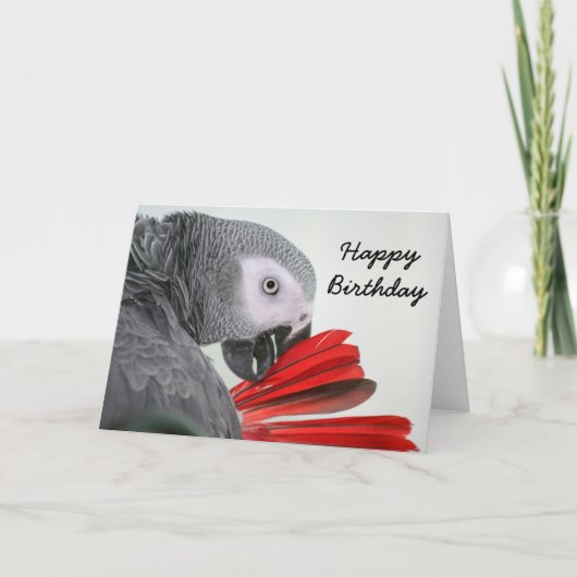 Birthday card Congo African Grey Gray Parrot Kaart (Voorkant)