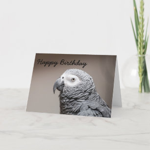 Birthday card Congo African Grey Gray Parrot Kaart