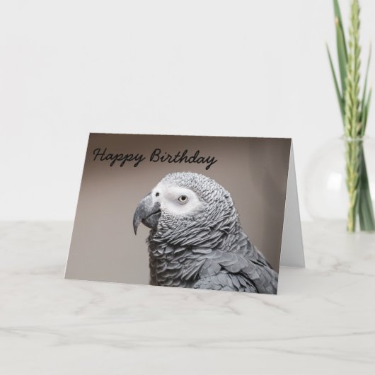 Birthday card Congo African Grey Gray Parrot Kaart (Voorkant)