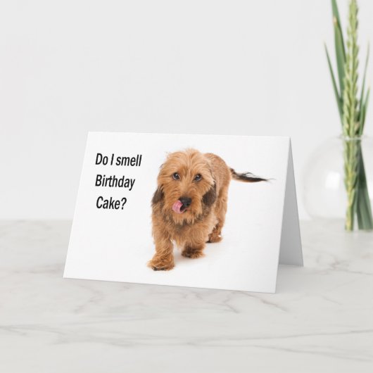 birthday card Dachshund dog smelling birthday cake Kaart (Voorkant)