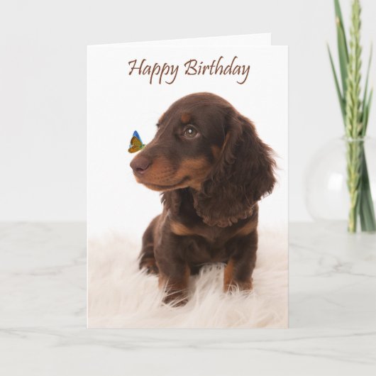 Birthday card dog with butterfly on nose kaart (Voorkant)