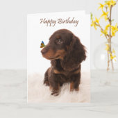Birthday card dog with butterfly on nose kaart (Gele Bloem)