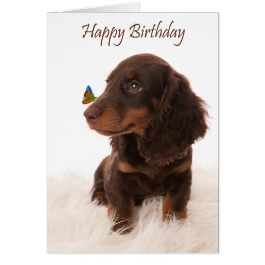 Birthday card dog with butterfly on nose kaart