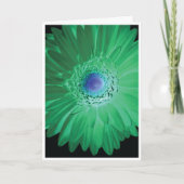 Birthday Card - Don't be negative Kaart (Voorkant)