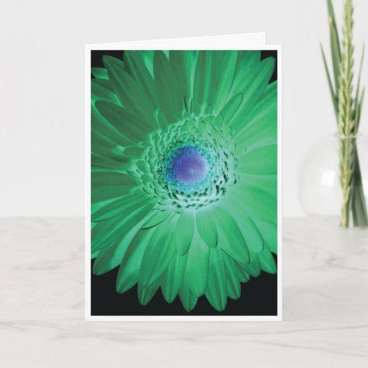 Birthday Card - Don't be negative Kaart (Voorkant)