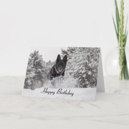 Birthday Card German Shepherd Dog in snow Kaart