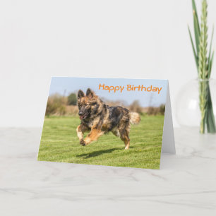 Birthday Card German Shepherd Dog Kaart