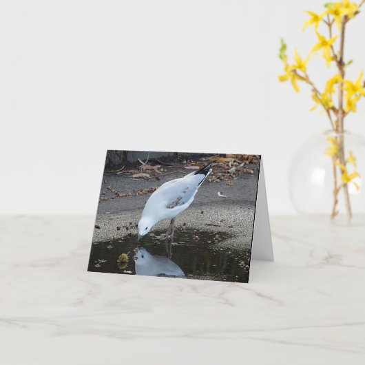 Birthday Card - Gull Reflections Kaart (Gele Bloem)