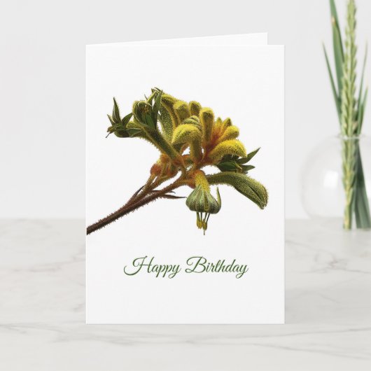 Birthday Card - Kangaroo Paw Kaart (Voorkant)
