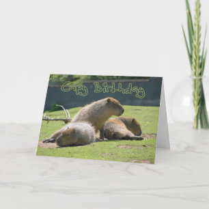 Birthday Card met Capybara Kaart