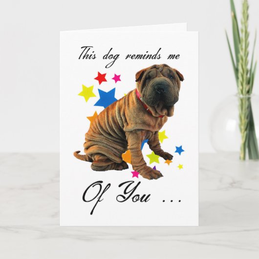 birthday card met cute shar pei - humorous card kaart (Voorkant)