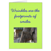 Birthday Card met Elephant Wrinkles (Voorkant)