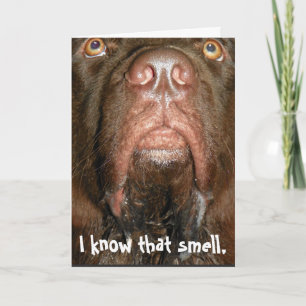 Birthday Card ~ Newfoundland dog Kaart