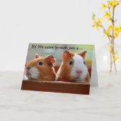 Birthday Card: Two Guinea Pigs Kaart (Gele Bloem)