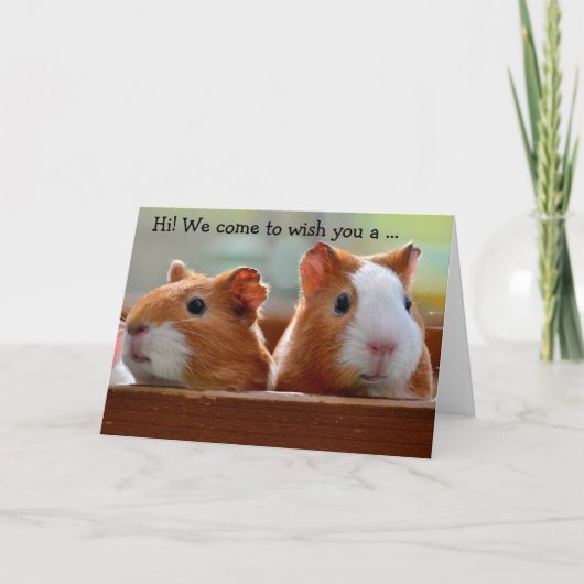 Birthday Card: Two Guinea Pigs Kaart (Voorkant)